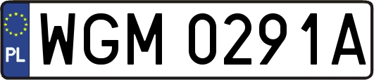 WGM0291A
