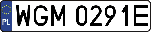 WGM0291E