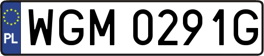 WGM0291G