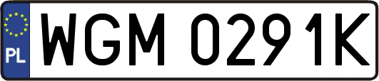 WGM0291K