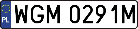 WGM0291M