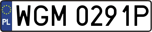 WGM0291P