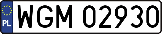 WGM02930