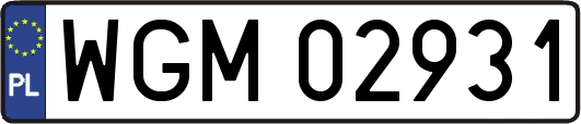 WGM02931