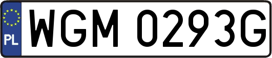 WGM0293G
