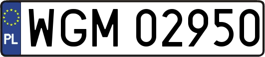 WGM02950