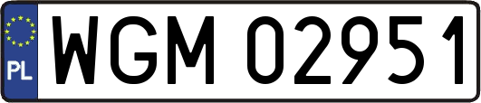 WGM02951