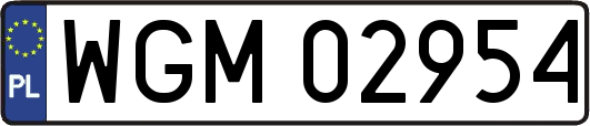 WGM02954