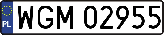 WGM02955
