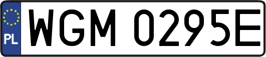 WGM0295E