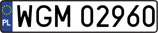 WGM02960