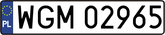 WGM02965