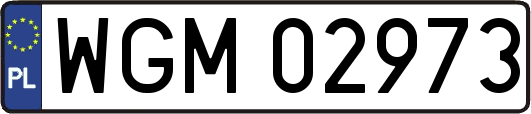 WGM02973