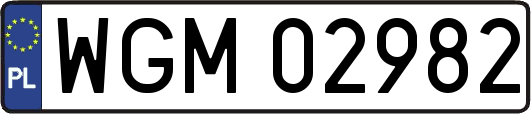 WGM02982