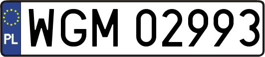 WGM02993