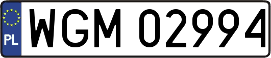 WGM02994