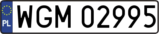 WGM02995