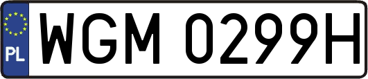 WGM0299H