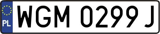 WGM0299J