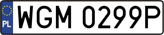 WGM0299P
