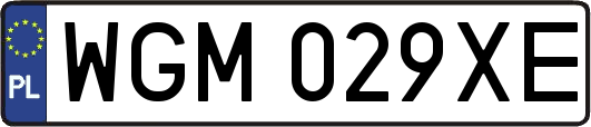 WGM029XE