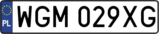 WGM029XG