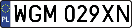 WGM029XN