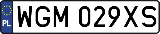 WGM029XS