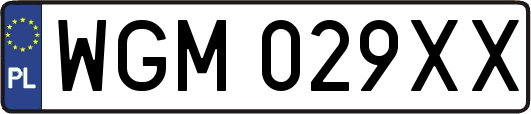 WGM029XX