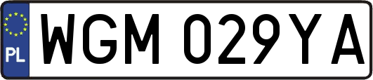 WGM029YA