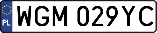WGM029YC