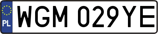 WGM029YE
