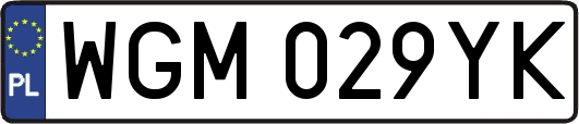 WGM029YK