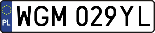 WGM029YL