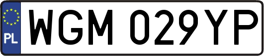 WGM029YP