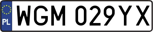 WGM029YX