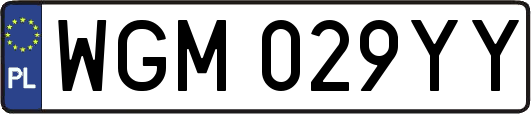 WGM029YY