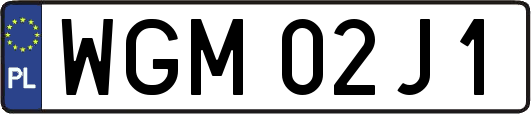 WGM02J1