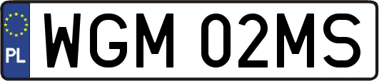 WGM02MS