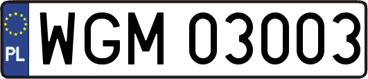 WGM03003