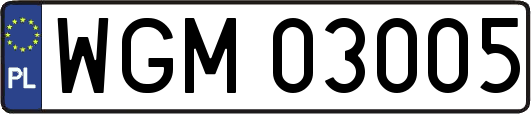 WGM03005