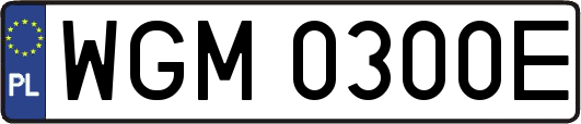 WGM0300E