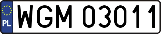 WGM03011