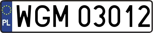 WGM03012