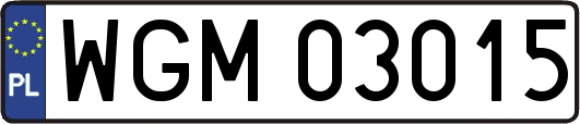 WGM03015