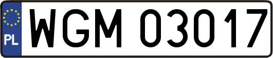 WGM03017