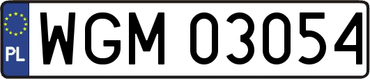 WGM03054
