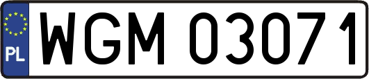 WGM03071