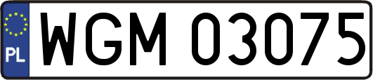 WGM03075