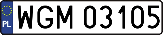 WGM03105